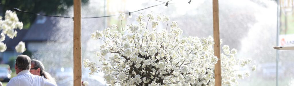 Zijden Bloemen Kopen Bij Meesterlijk Geschikt