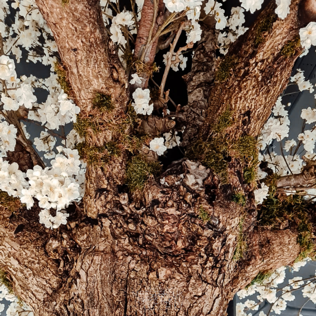 Zijden Bloemen Kopen Voor Meer Sfeer