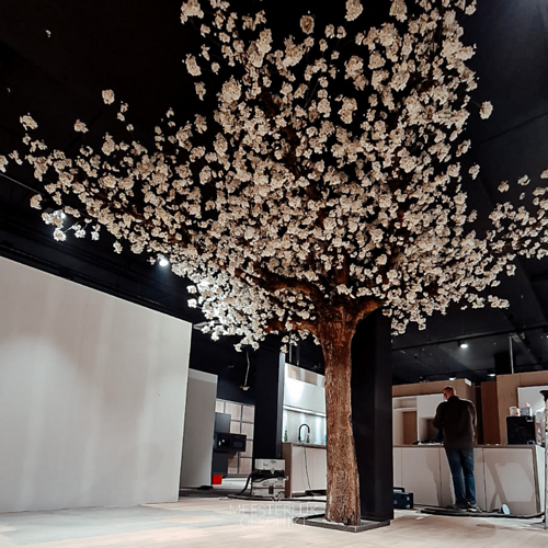 Bloesemboom Kopen Voor In Een Pand